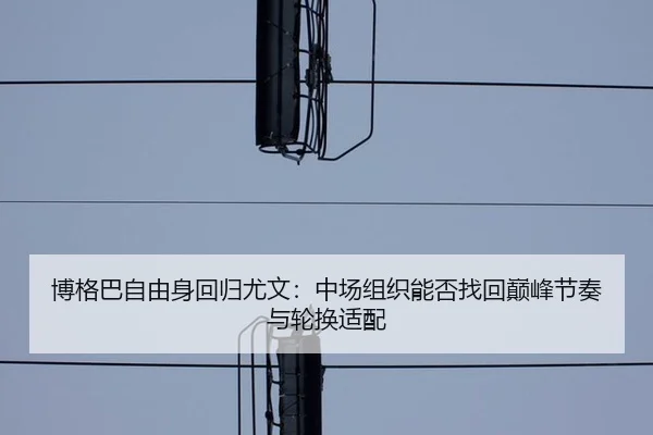 bo-ge-ba-zi-you-shen-hui-gui-you-wen-zhong-chang-zu-zhi-neng-fou-zhao-hui-dian-feng-jie-zou-yu-lun-huan-shi-pei-2-210.jpg