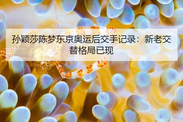 sun-ying-sha-chen-meng-dong-jing-ao-yun-hou-jiao-shou-ji-lu-xin-lao-jiao-ti-ge-ju-yi-xian-2-599.jpg