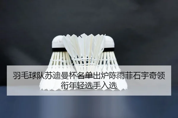 yu-mao-qiu-dui-su-di-man-bei-ming-dan-chu-lu-chen-yu-fei-shi-yu-qi-ling-xian-nian-qing-xuan-shou-ru-xuan-2-433.jpg