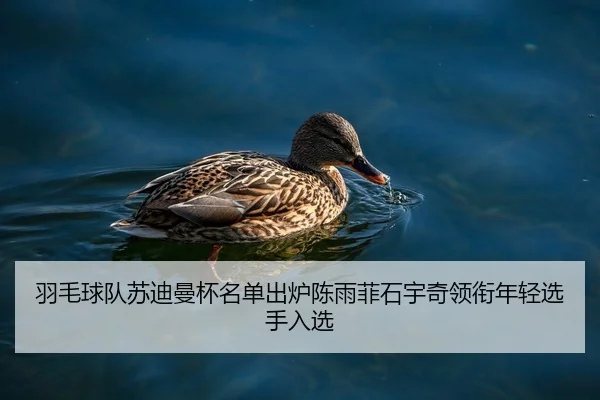 羽毛球队苏迪曼杯名单出炉陈雨菲石宇奇领衔年轻选手入选